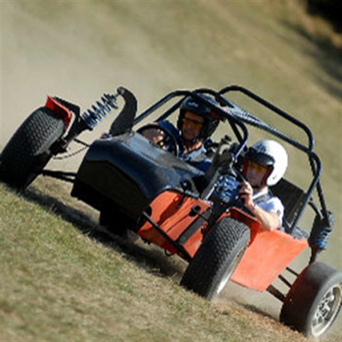 Two seater off road hot sale buggy